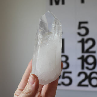 Chunky Lemurian Point #3