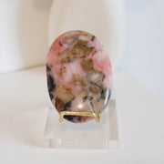 Pink Opal Palm #2a