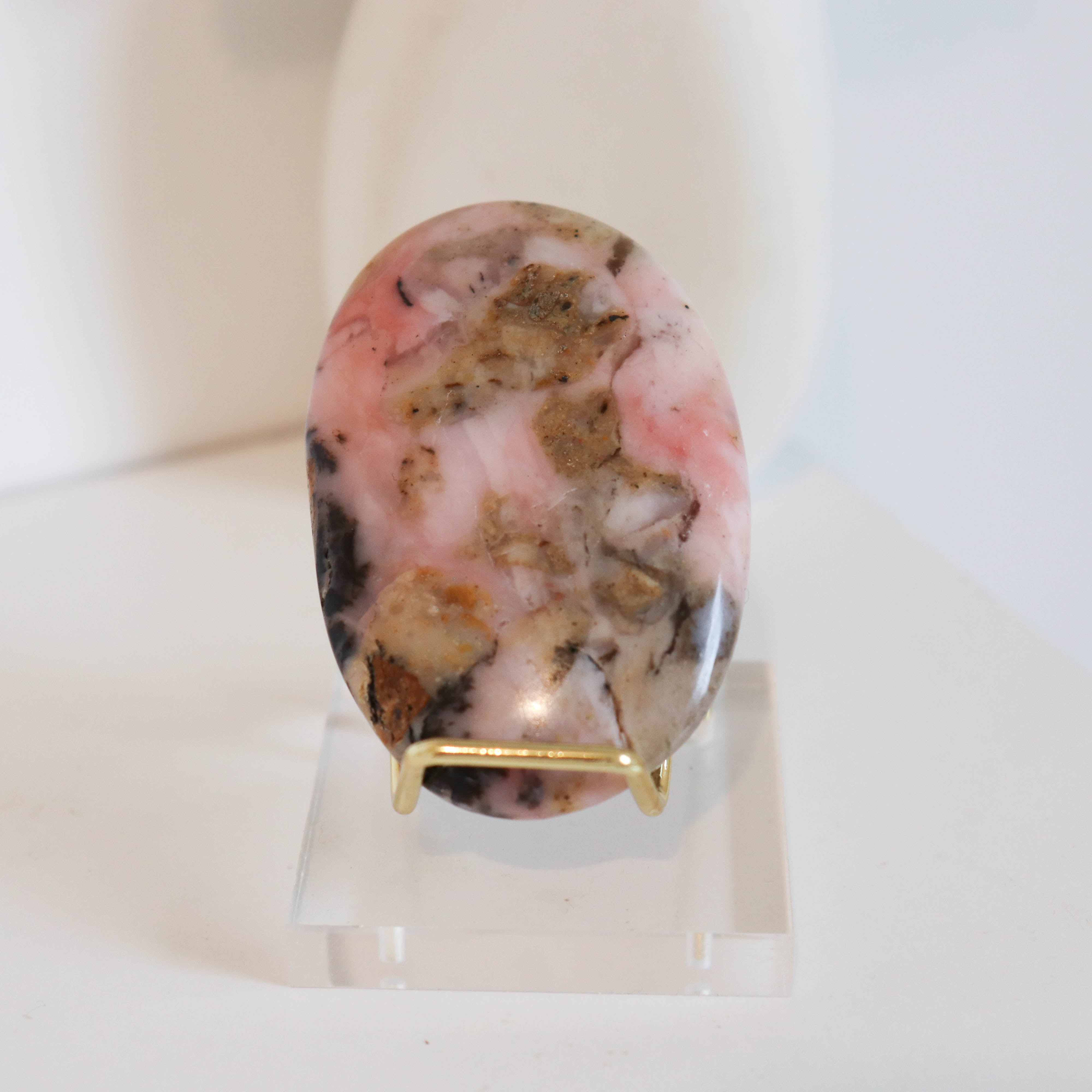 Pink Opal Palm #2a