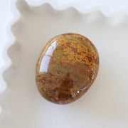 Ocean Jasper Palm #3