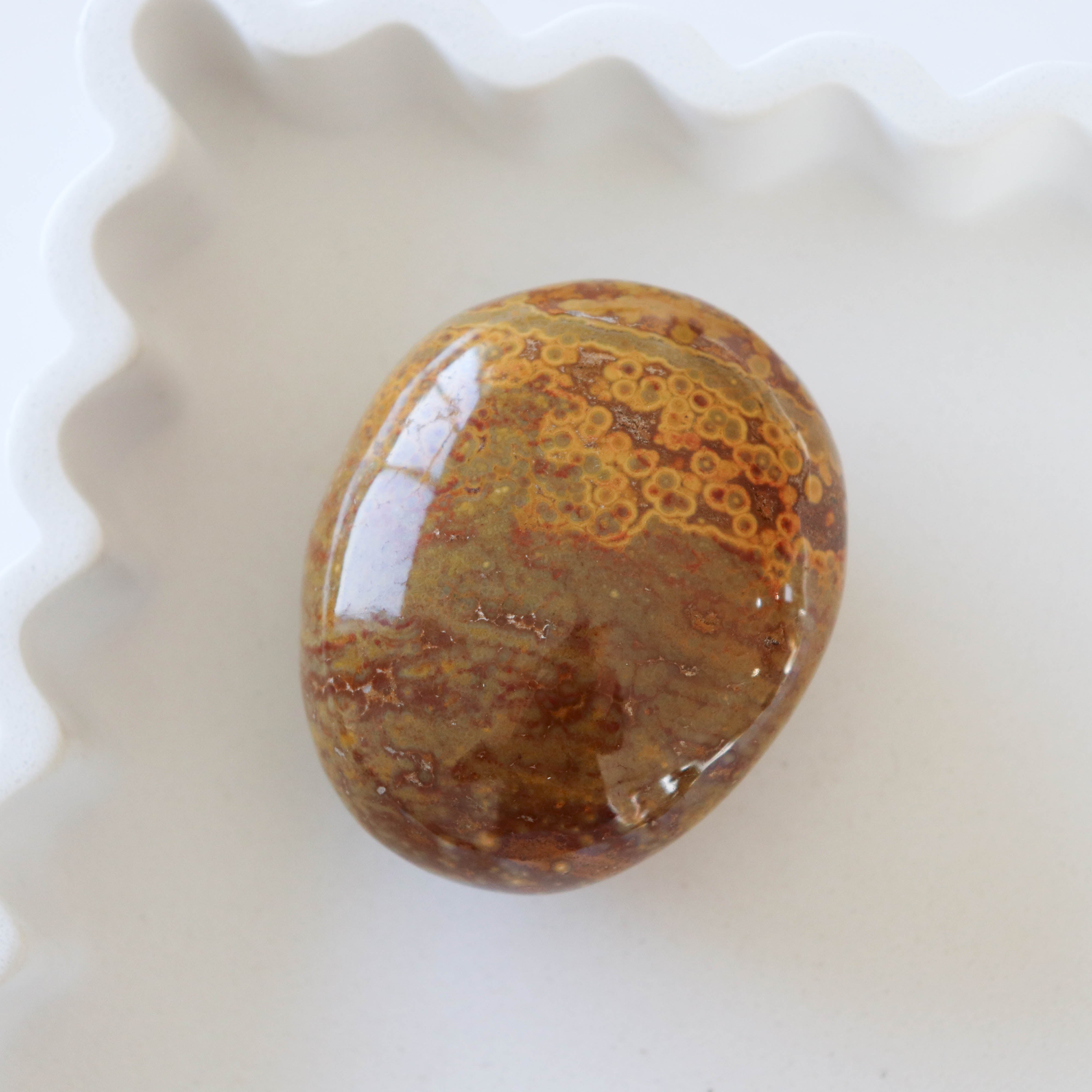 Ocean Jasper Palm #3