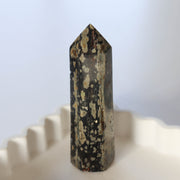 Ocean Jasper Point #2