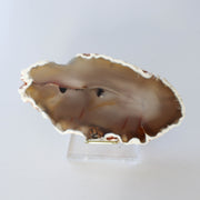 Orca Agate Slab #1