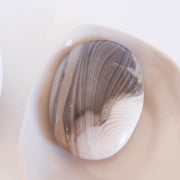 Flint Palmstone #1