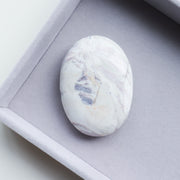 Hyacinth Jasper Palm #1