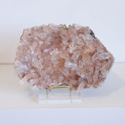 AAA Pink Samadhi Himalayan Cluster #4