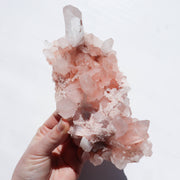 AAA Pink Samadhi Himalayan Cluster #02