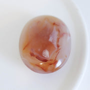 Flower Agate Palm #3