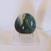 Ocean Jasper Palm #2