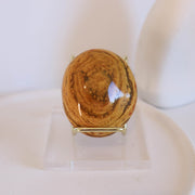 Ocean Jasper Palm #4