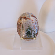 Ocean Jasper Palm #6