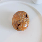 Crazy Lace Agate Palm #152SALE