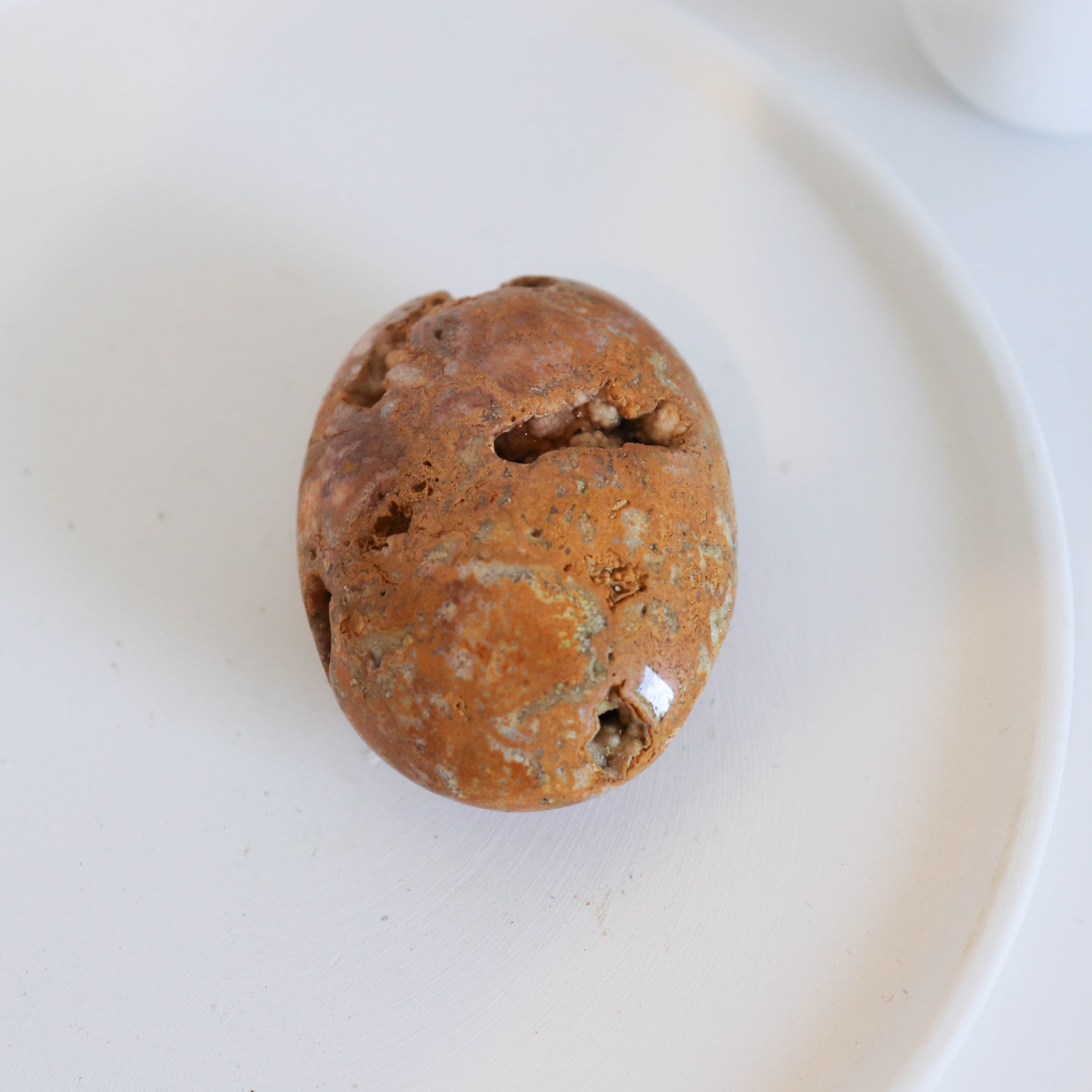 Crazy Lace Agate Palm #153  SALE