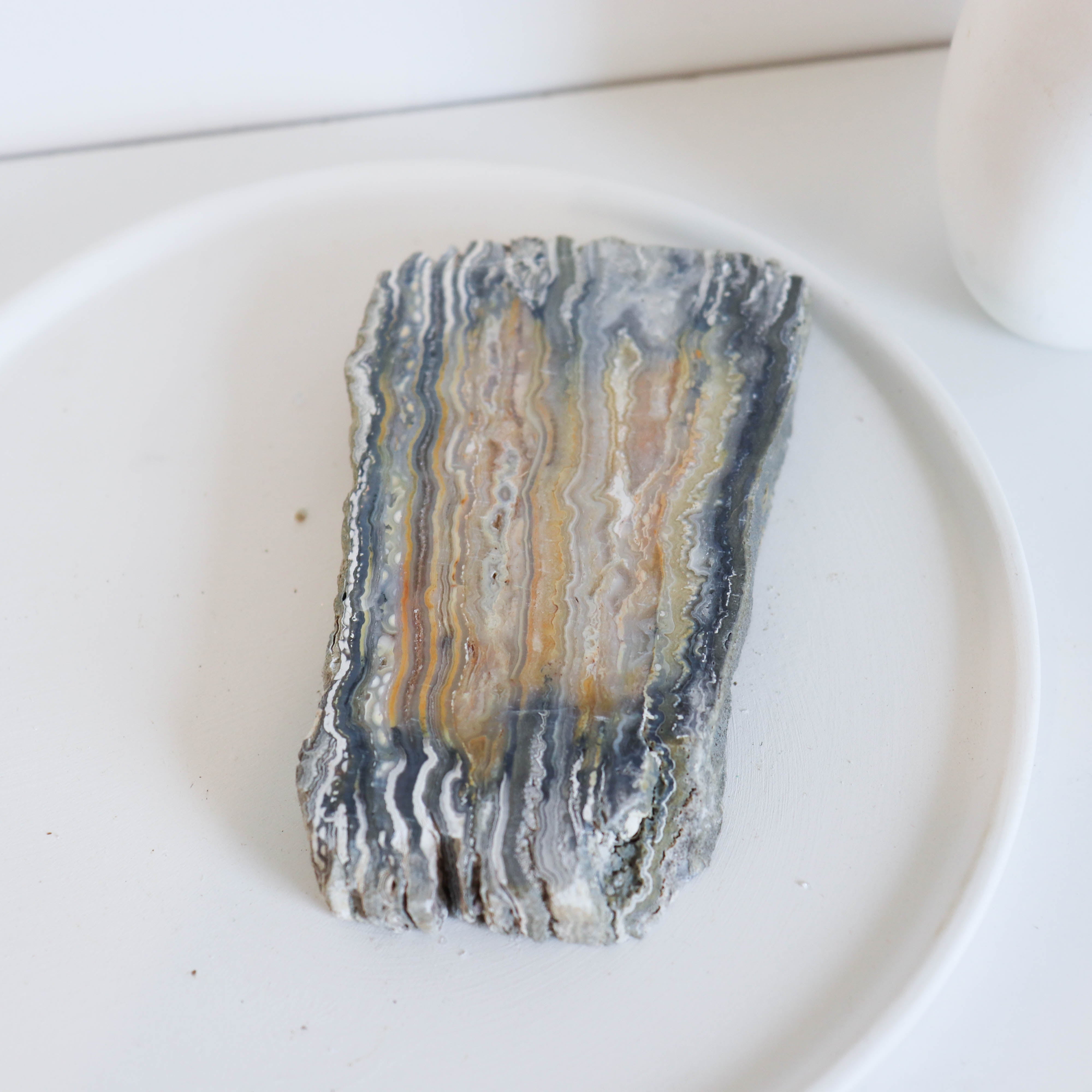 Lace Agate Palm #194 SALE