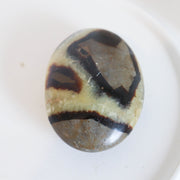 Septerian Palm #180 SALE