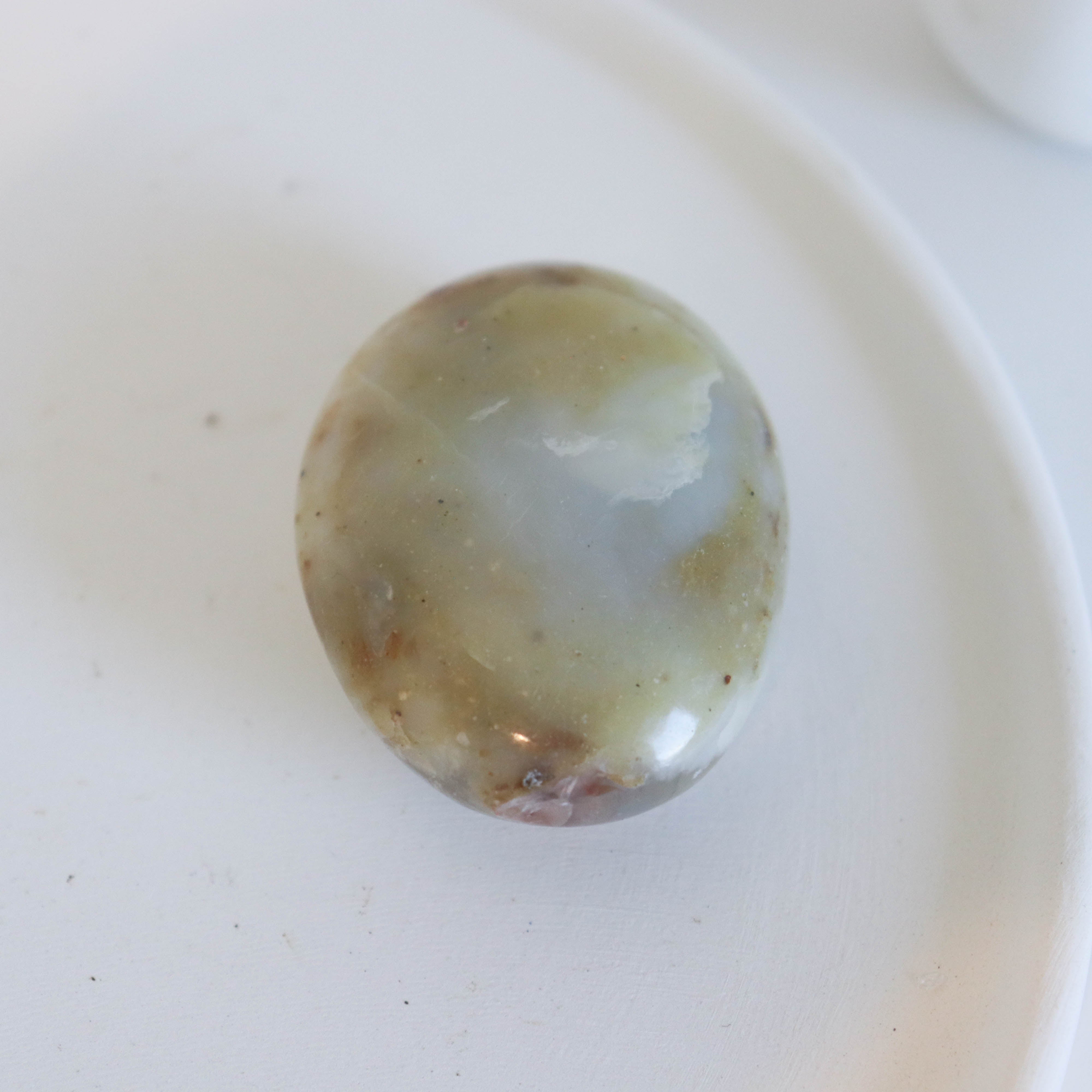 Andean Opal Palm #5
