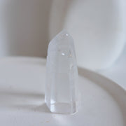 Lemurian Cut Base #13