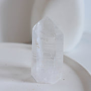 Lemurian Cut Base #14