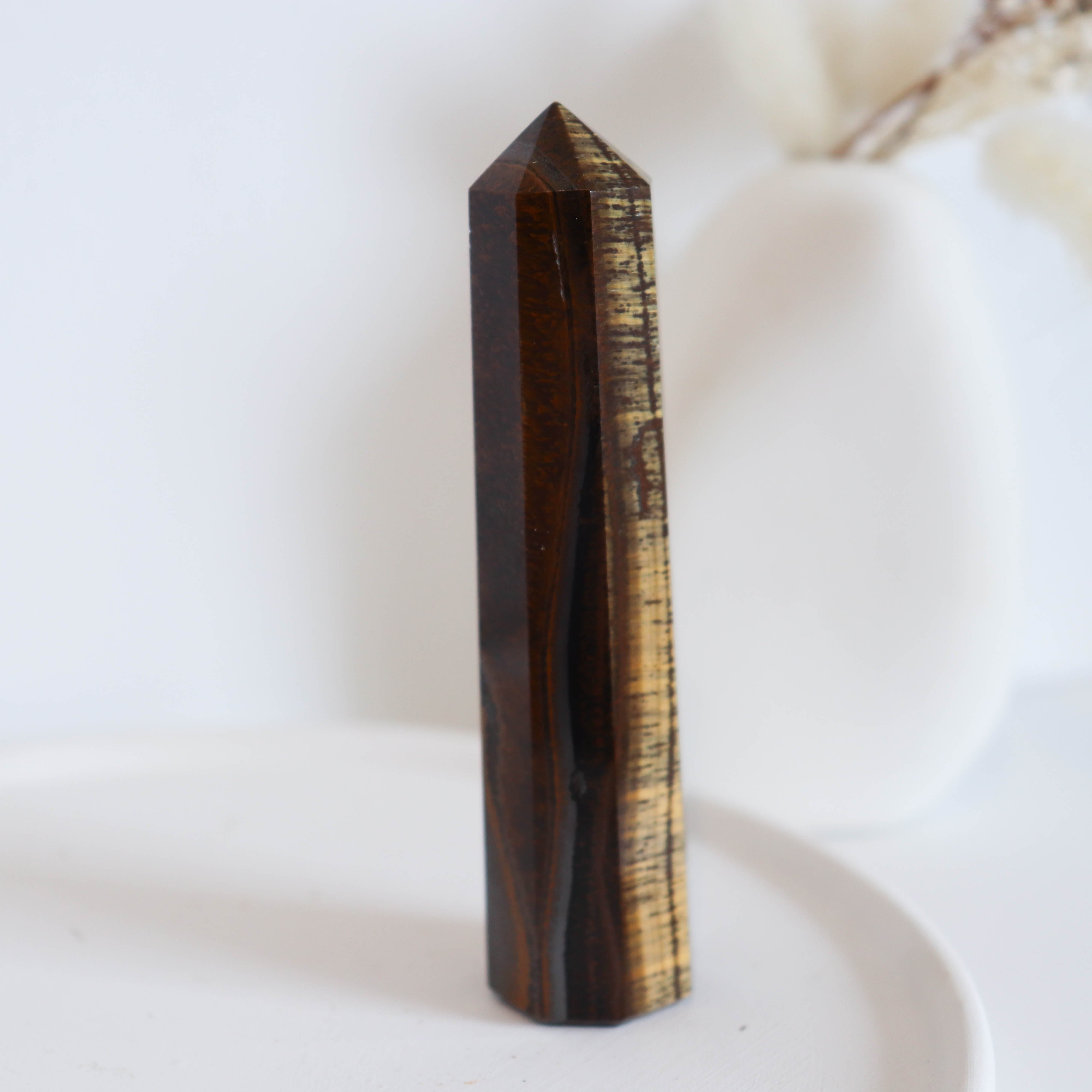 Tiger Eye XL Point #10