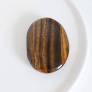 Tiger Eye Palm #10