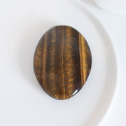 Tiger Eye Palm #11