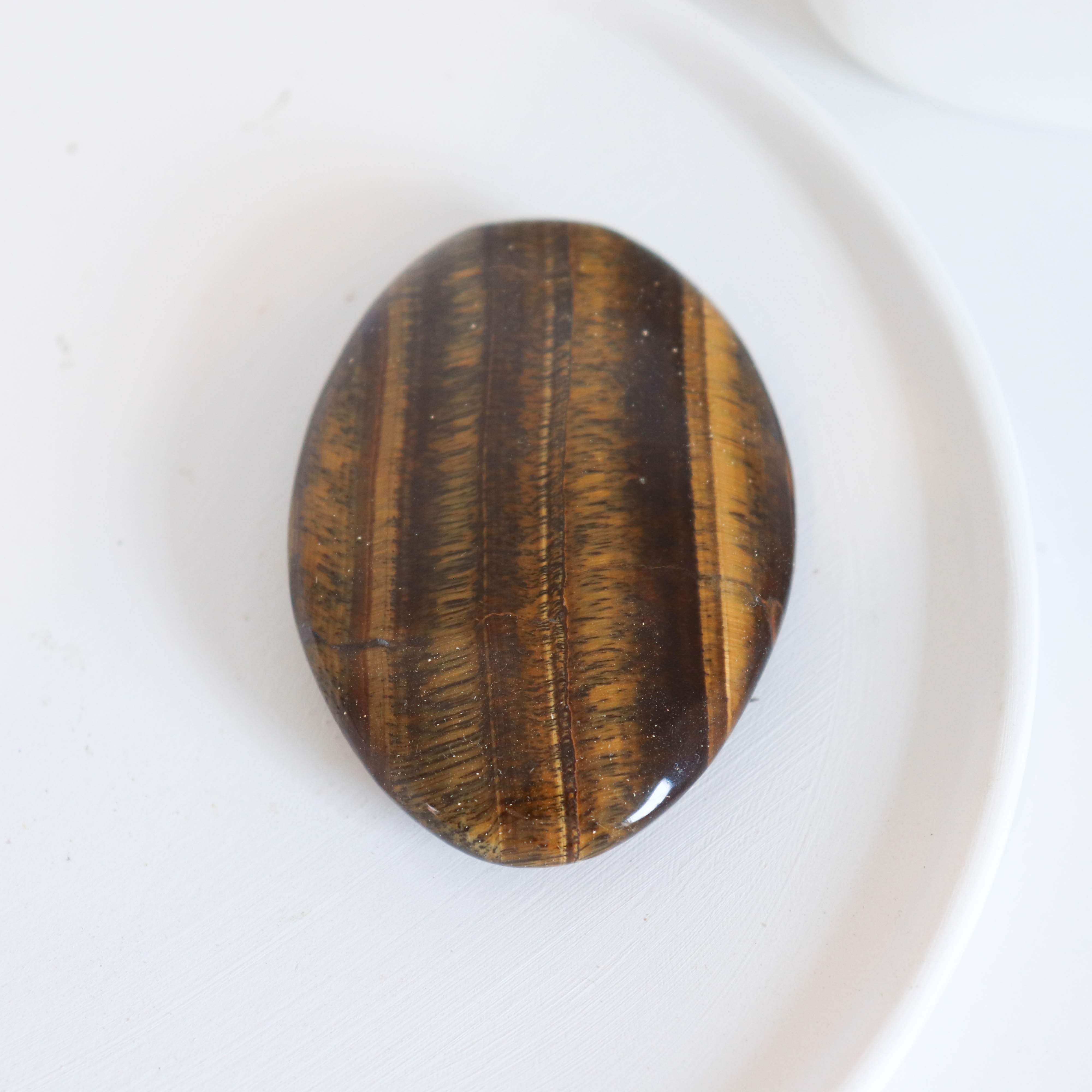 Tiger Eye Palm #11