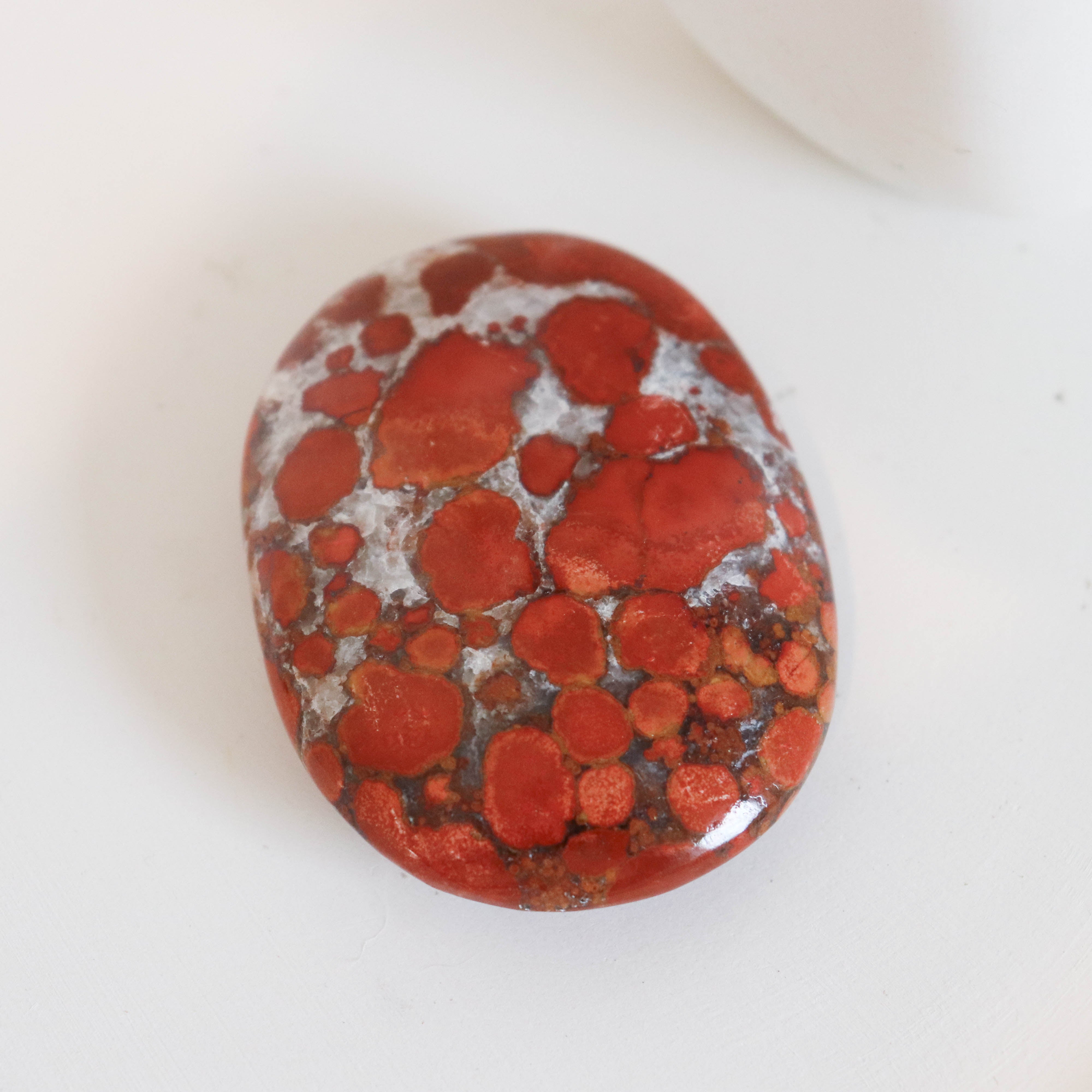 Cobra Jasper Palm #1