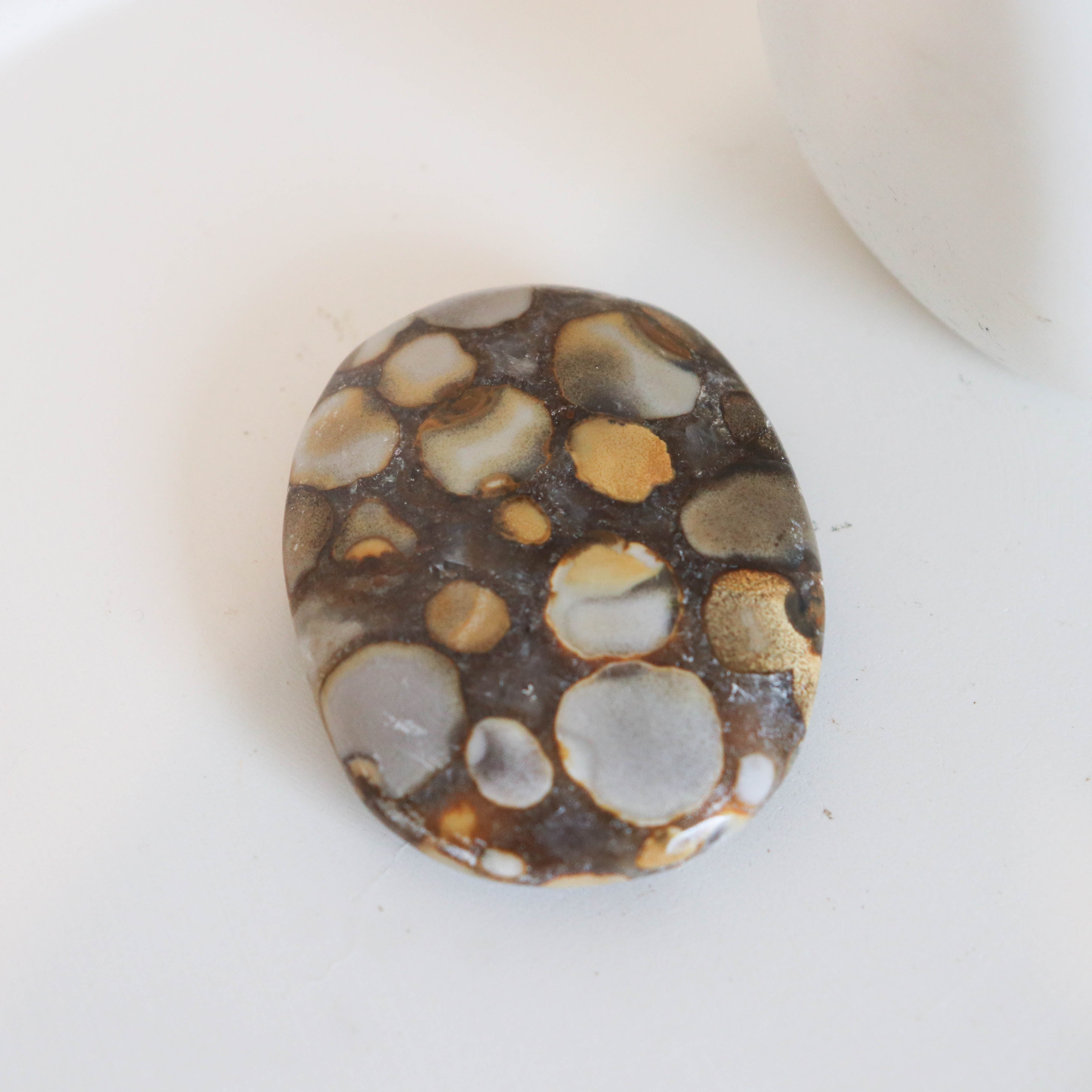 Cobra Jasper Palm #3