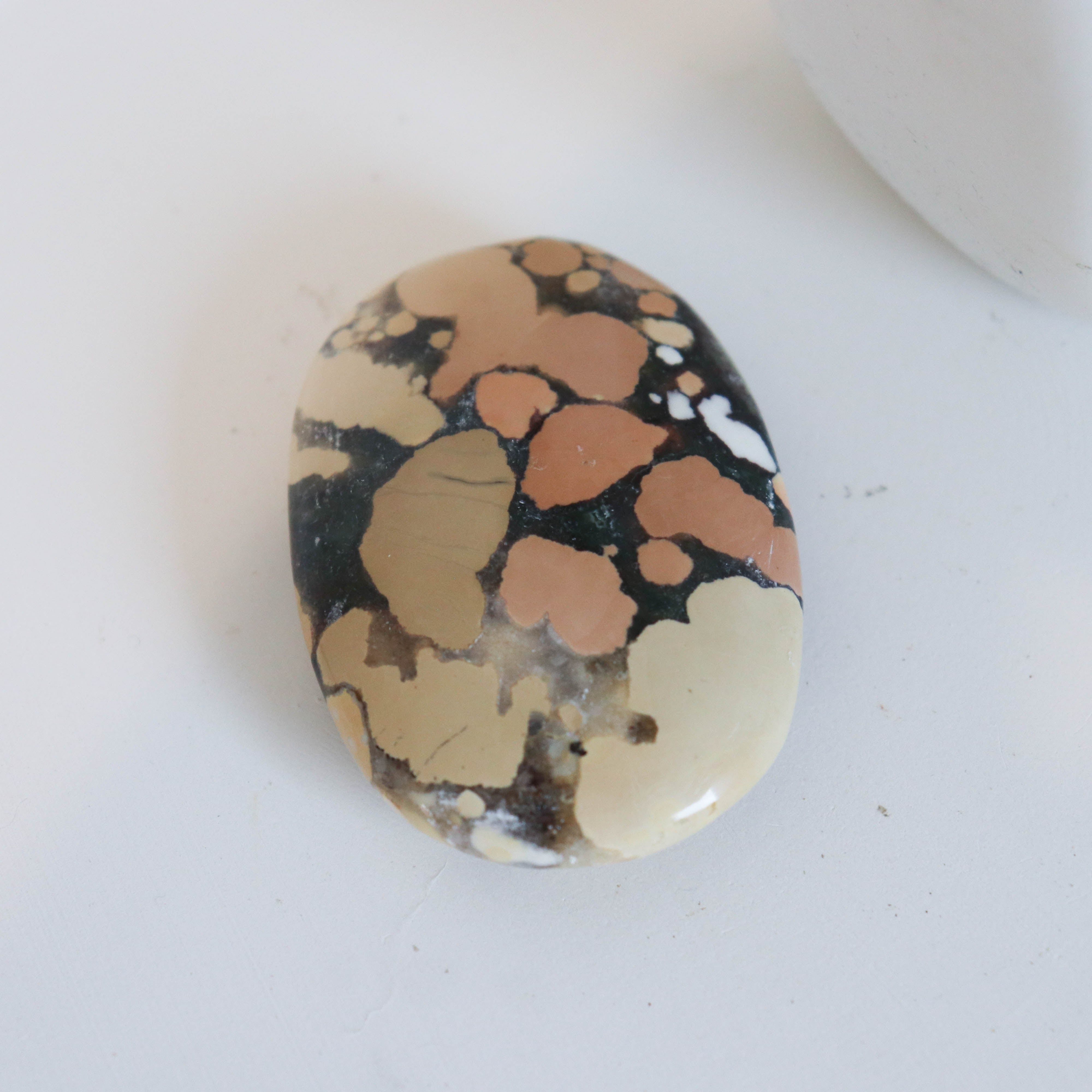 Cobra Jasper Palm #4