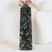 Ocean Jasper Point #1