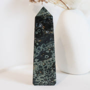 Ocean Jasper Point #2