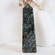 Ocean Jasper Point #3