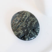 Ocean Jasper Palm #1