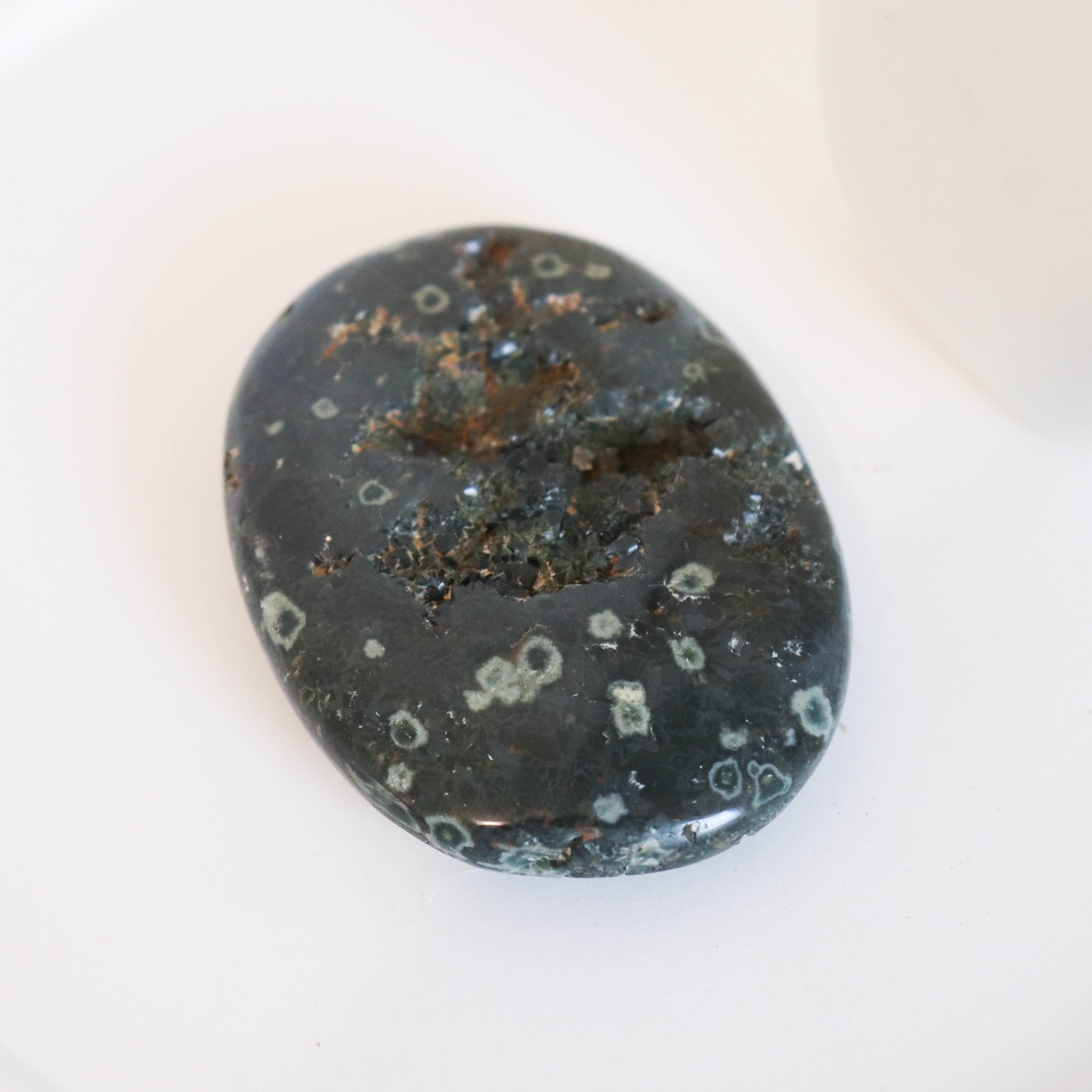 Ocean Jasper Palm #2