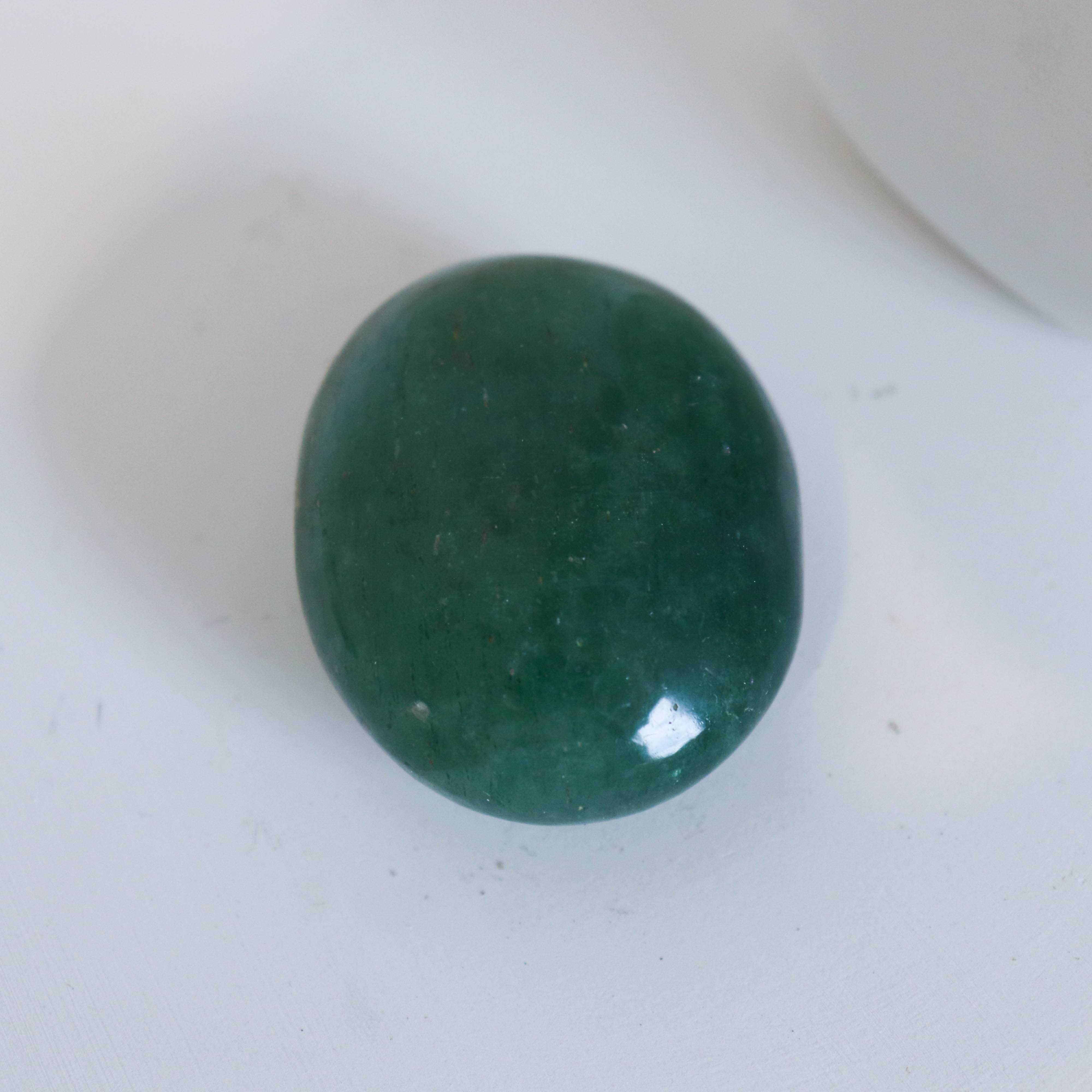 Green Tanzberry Palm #1