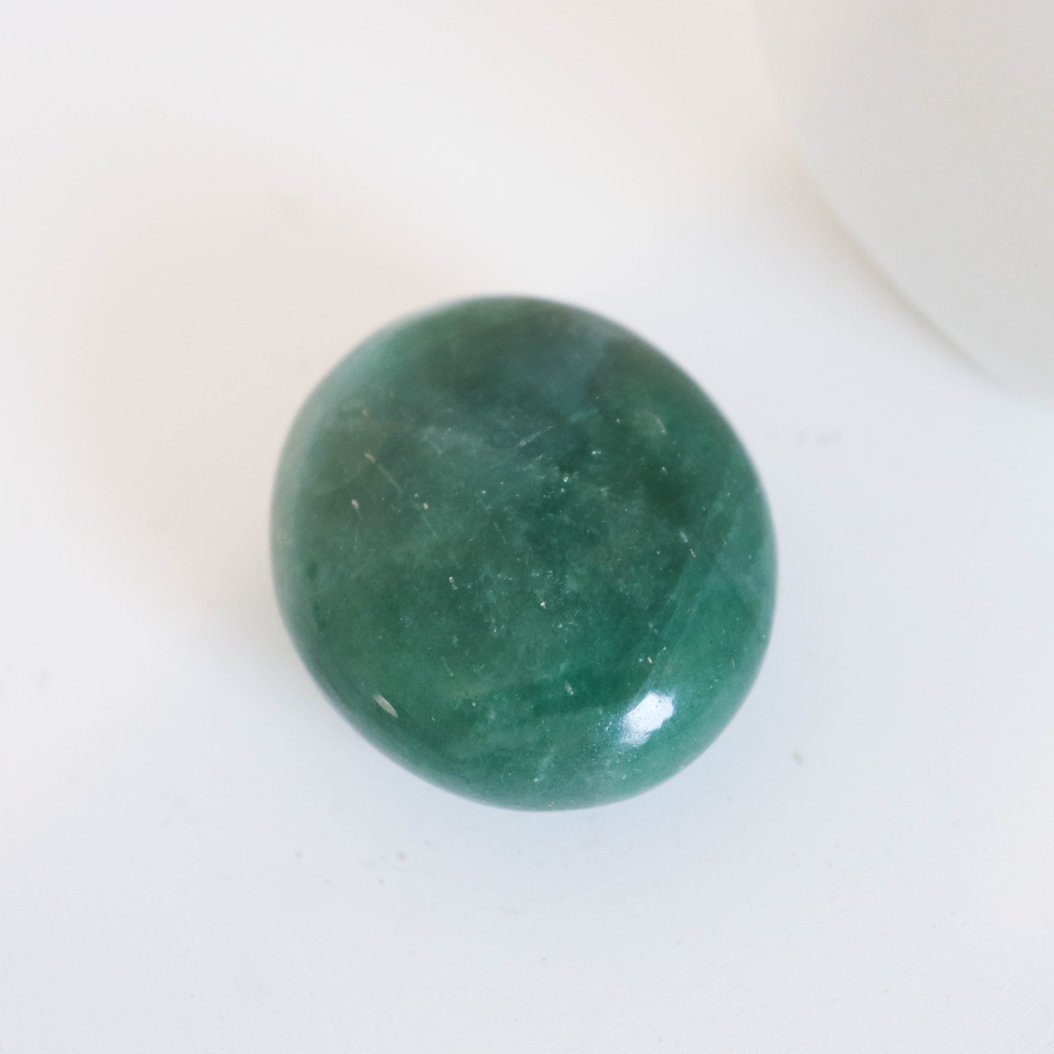 Green Tanzberry Palm #2