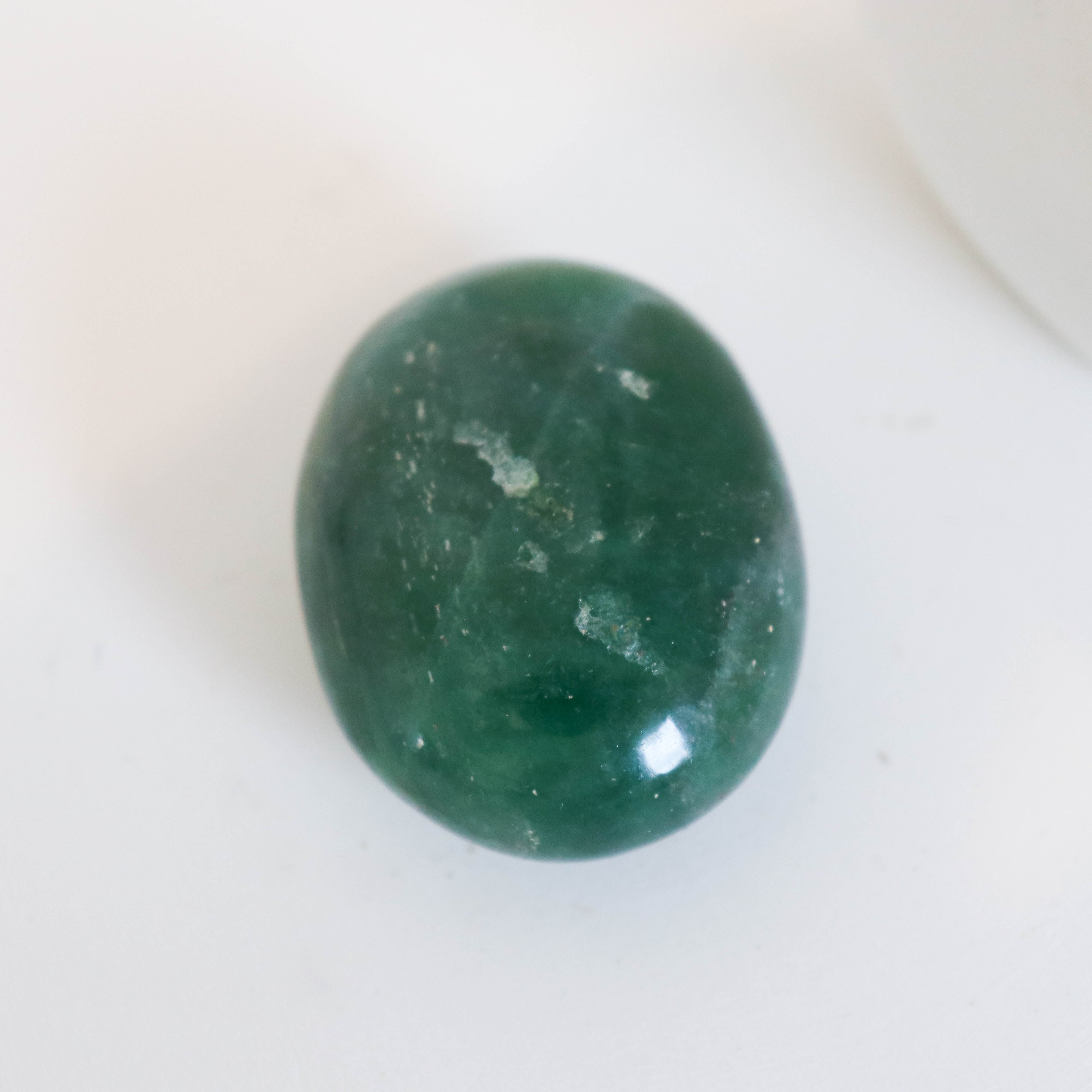 Green Tanzberry Palm #3