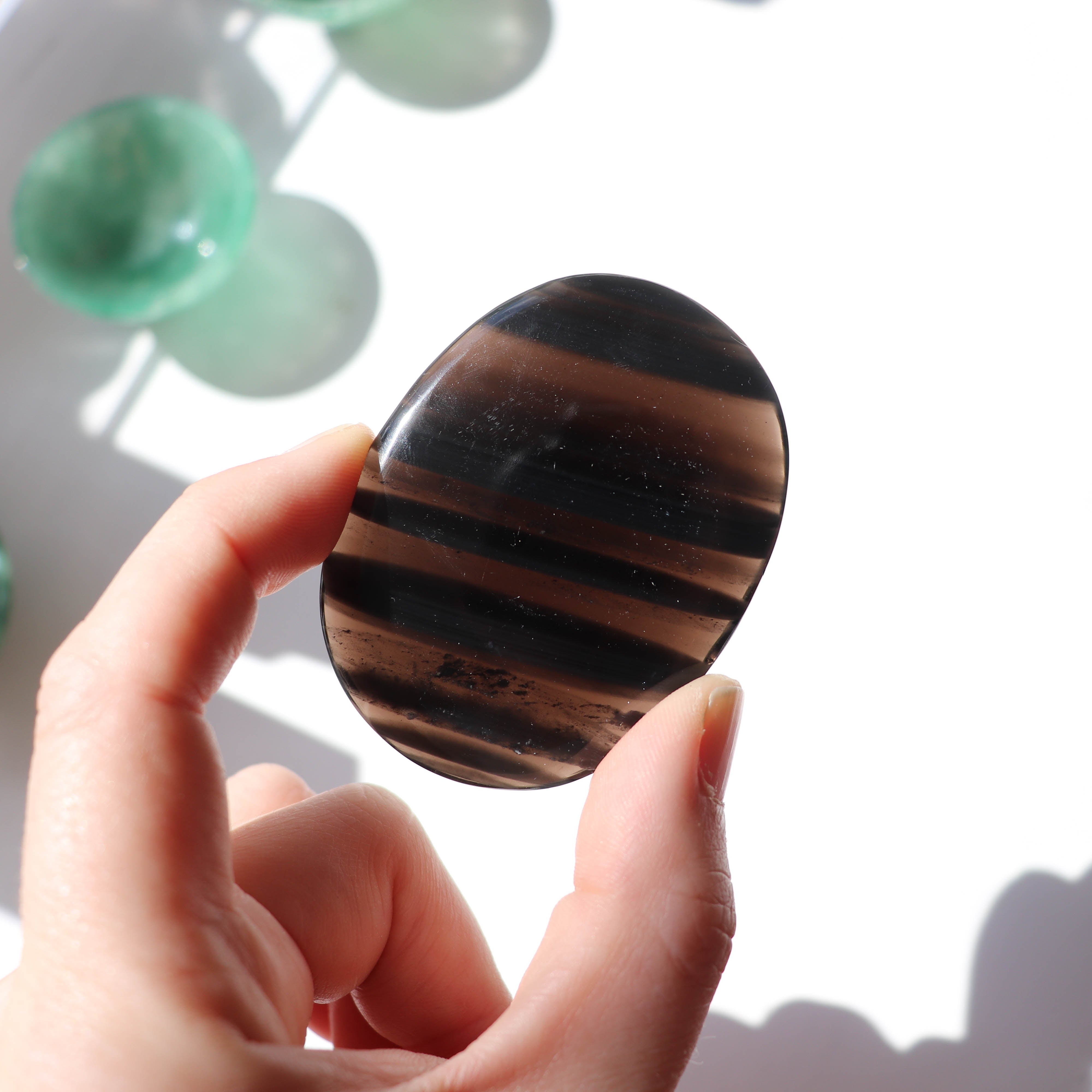 Midnight Lace Obsidian Palm #1