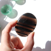 Midnight Lace Obsidian Palm #1