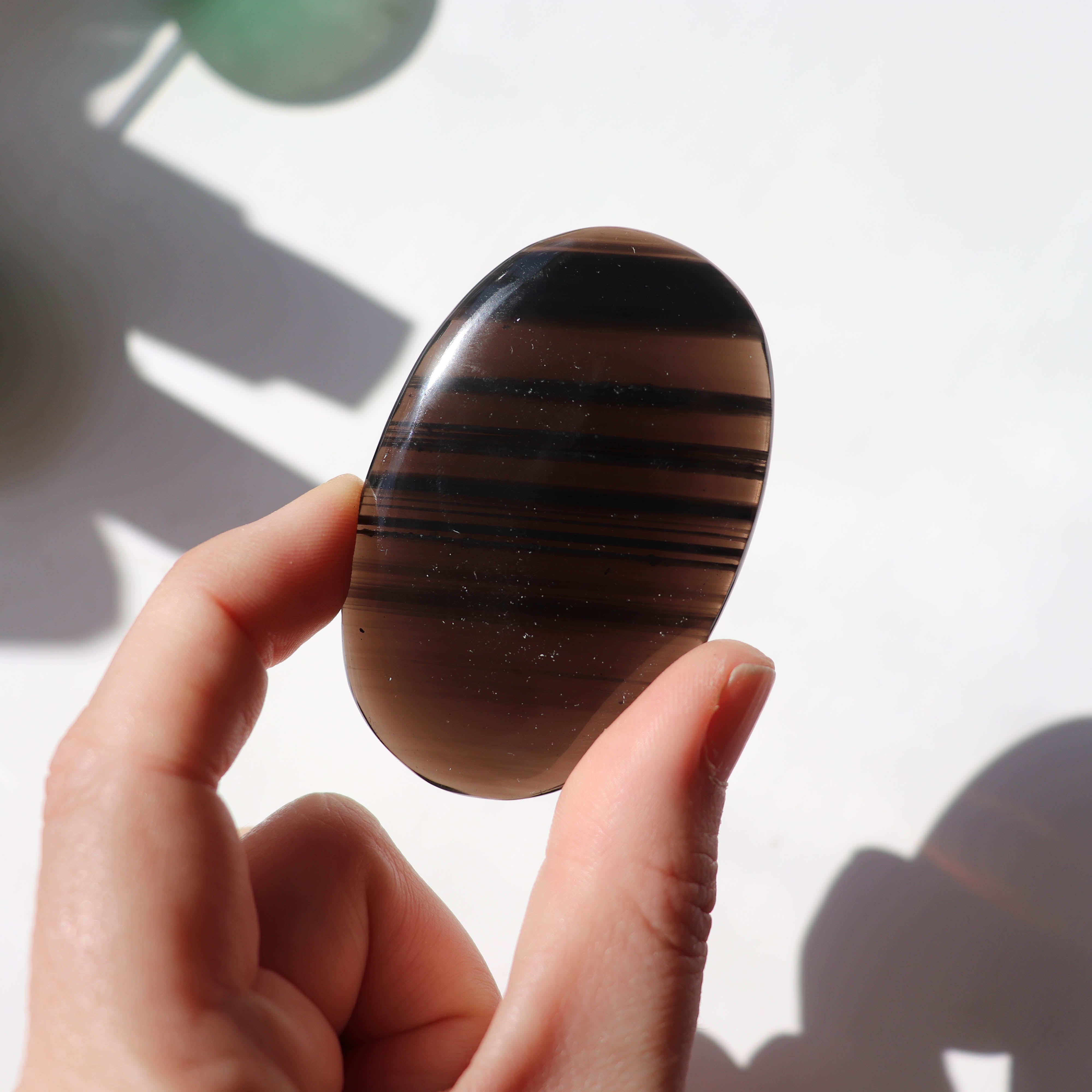 Midnight Lace Obsidian Palm #3