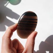 Midnight Lace Obsidian Palm #3