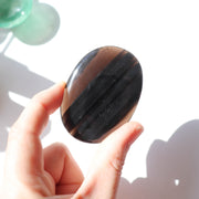 Midnight Lace Obsidian Palm #4