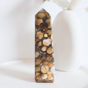 Cobra Jasper Point #8