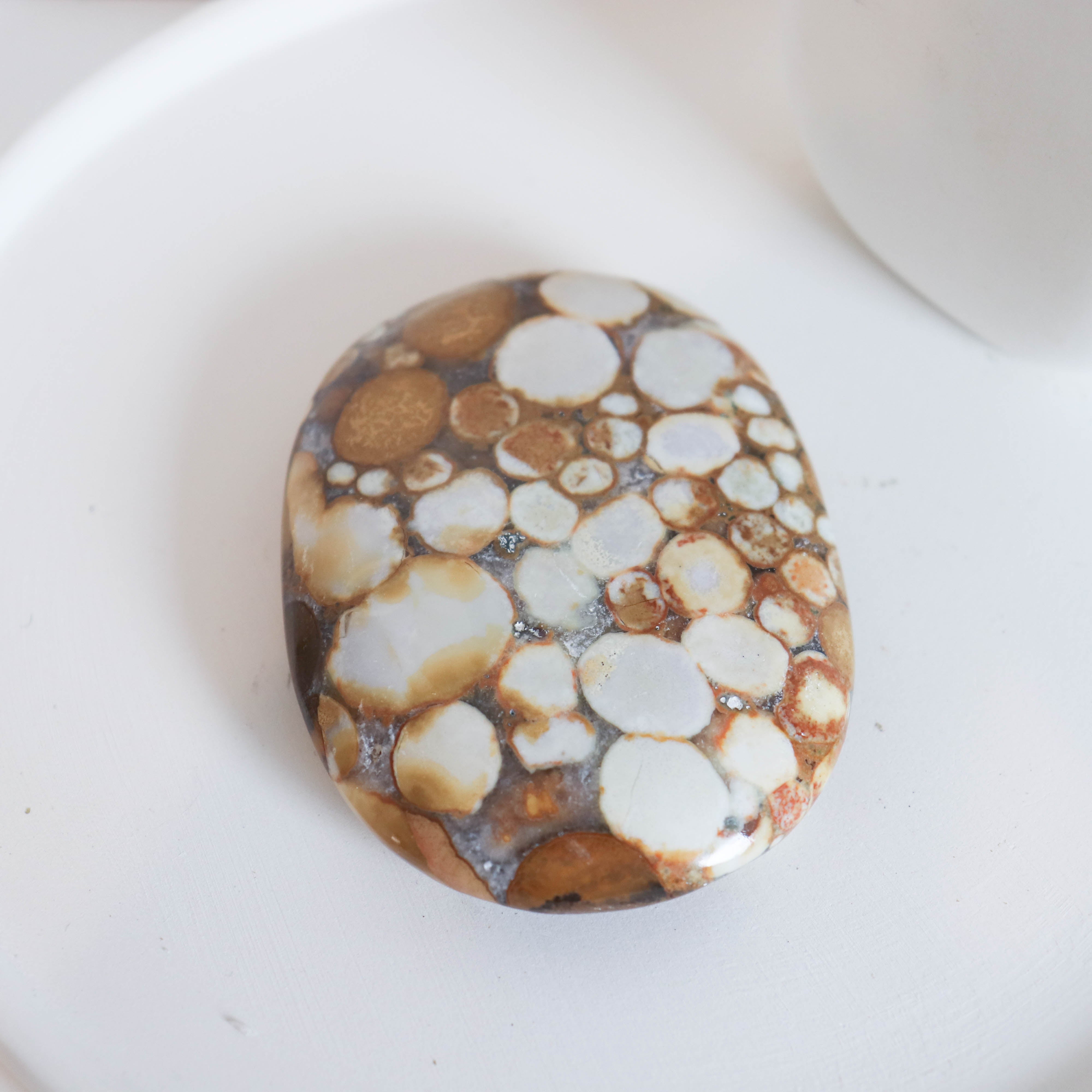 Cobra Jasper Palm #6