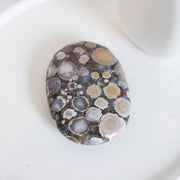 Cobra Jasper Palm #7