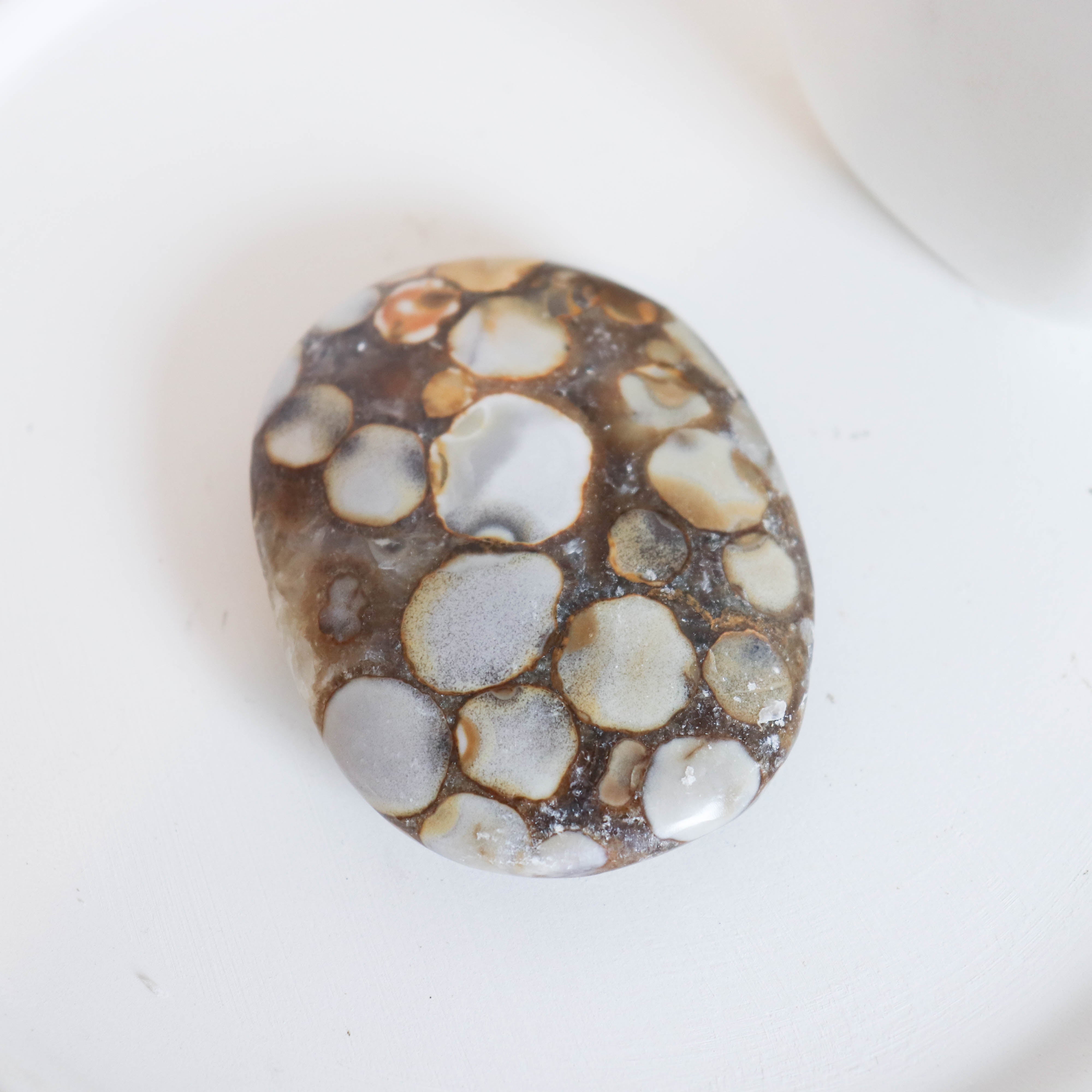 Cobra Jasper Palm #8