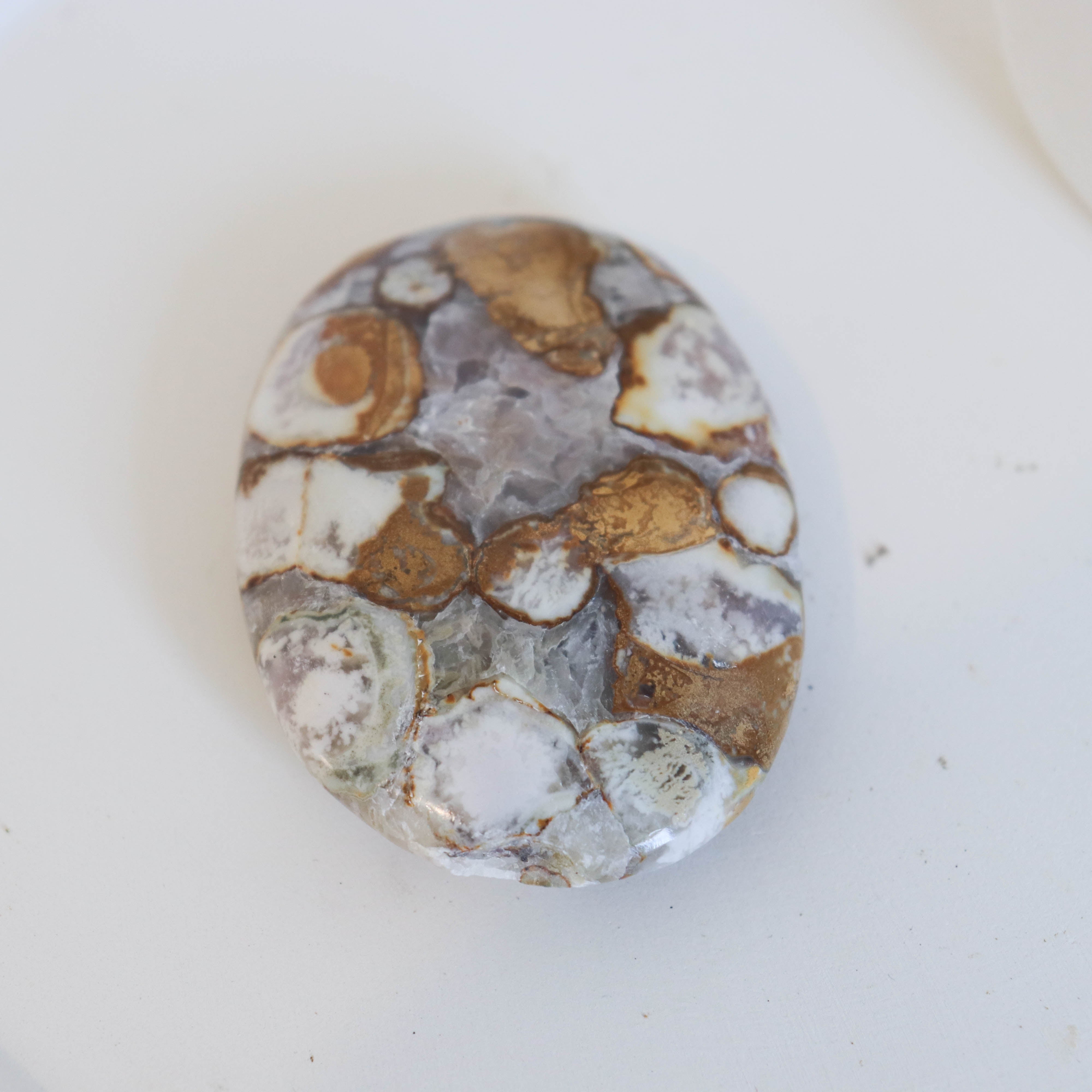 Cobra Jasper Palm #2