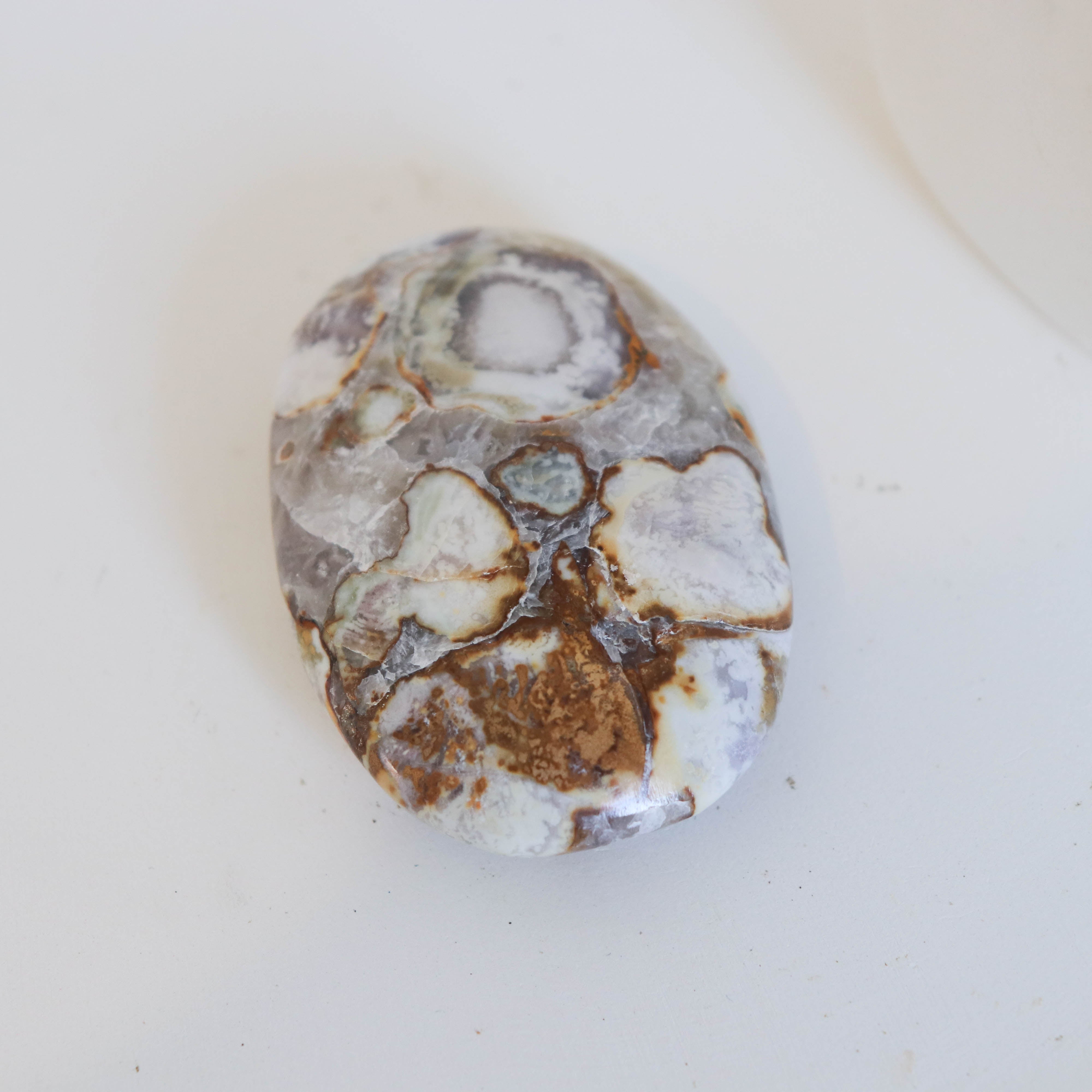 Cobra Jasper Palm #3