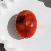 Carnelian Palm #1