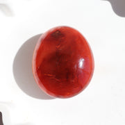 Carnelian Palm #2